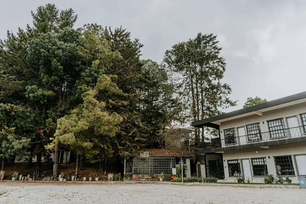 Hotel Rocaval grounds and forest